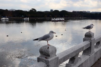 2022年 年末年始の旅行Vol.2（大濠公園ほか）