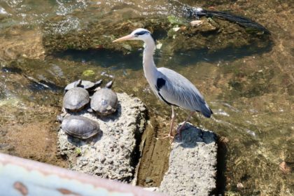 今月のやりたいことと前月の振り返り：2024年5月
